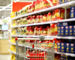 choosing a dairy products at supermarket.empty grocery cart in an empty supermarket