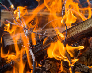 
oak firewood burns in fire .beautiful fire and coal. close-up shot of details of a fire with oak...