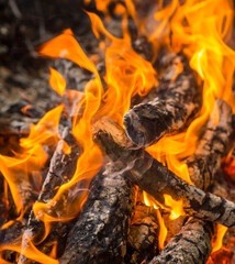 
oak firewood burns in fire .beautiful fire and coal. close-up shot of details of a fire with oak firewood