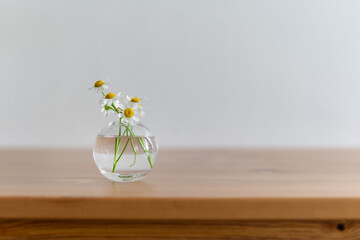 
daisies in a vase on a wooden table.