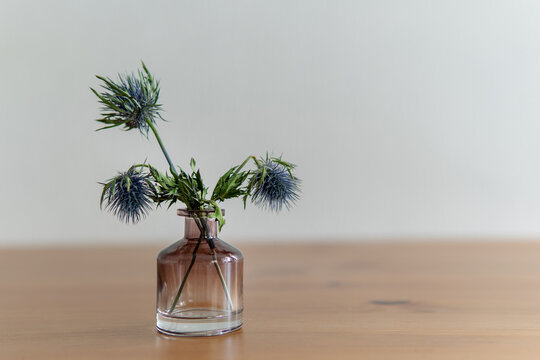 eringium in a vase.