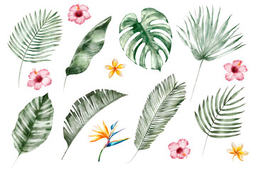 Fototapeta na wymiar Watercolor tropical illustration set: botanical leaves and flowers