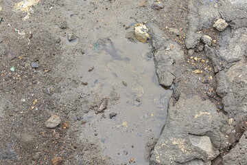 아직은 살아있는 제주바다