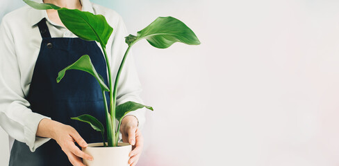 Woman Home Garden With Plants