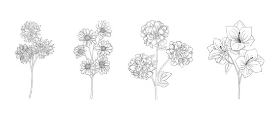 hand drawn set of black and white floral outlines. hand drawn flower stalk. Design elements for greeting cards and invitations