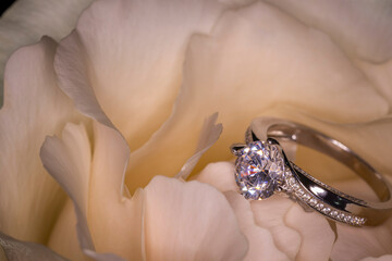 Cream Rose with Engagement Ring