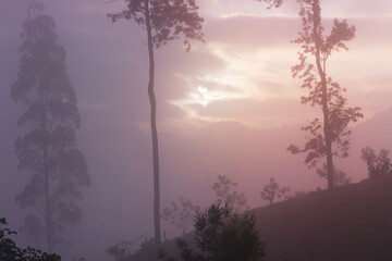 Fototapeta premium Misty sunrise