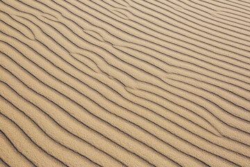 Sand texture