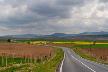 A winding country road, plowed fields, canola fields, and mountains in background.
