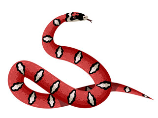 viper snake red culebra reptile serpent