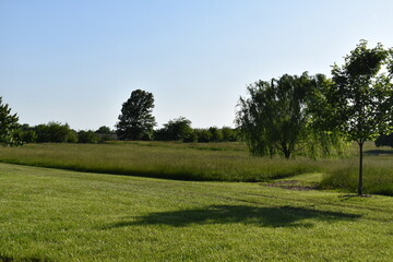 Green Field