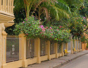 urban garden street on the walled city of Cartagena de Indias