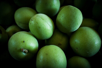 収穫したての南高梅の青梅