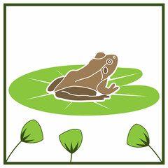 Seamless pattern with frog. Design for wall decoration, postcard, poster, brochure, shirt, etc.