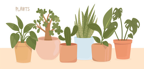 Set of potted plants. Plants plastic decorative container indoor potted tree basket urban garden vector collection.  illustration of flowering pots.