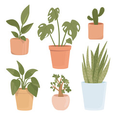 Set of potted plants isolated on white background. illustration of flowering pots