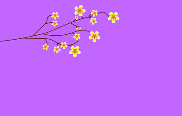 flowers and butterfly