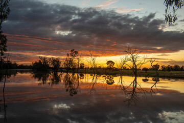 Caliguel lagoon  near Condmine Queensland at sunrise