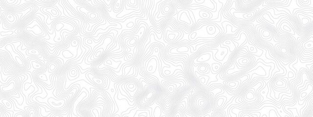Abstract topographic contours map background. Vector geographic contour map. topography map background.  White wave paper curved reliefs abstract background. 