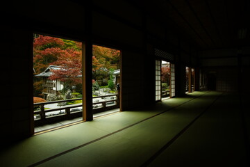 Kyoto Kochidani Amidaji Temple in autumn