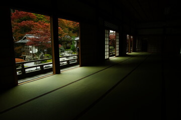 Kyoto Kochidani Amidaji Temple in autumn