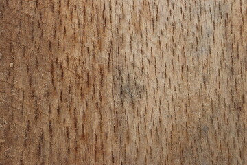 natural motifs on wood