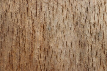natural motifs on wood
