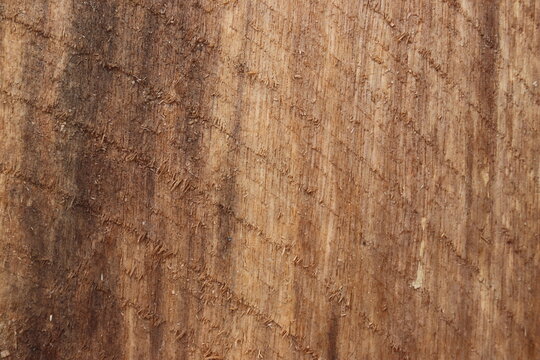 natural motifs on wood