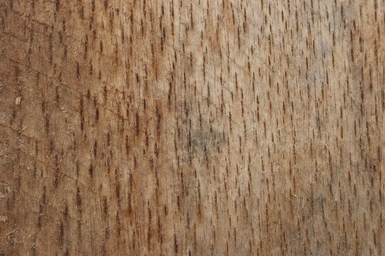natural motifs on wood