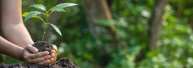 person holding a bird
