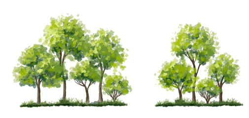 Vector watercolor forest or tree side view isolated on white background for landscape and architecture drawing, elements for environment and garden,botanical elements 
