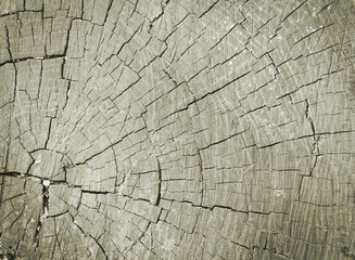 Abstract advertising concept on white backdrop. Natural background.