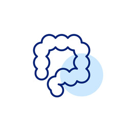Human bowel. Gastrointestinal tract disease and anatomy. Pixel perfect, editable stroke line art icon