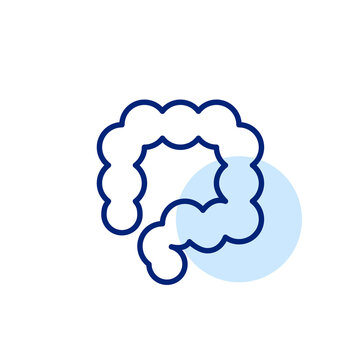recommend clip art: Human bowel. Gastrointestinal tract disease and anatomy. Pixel perfect, editable stroke line art icon