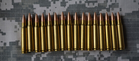 Loaded 223/5.56 Cartridges. Full metal jacket bullets.
