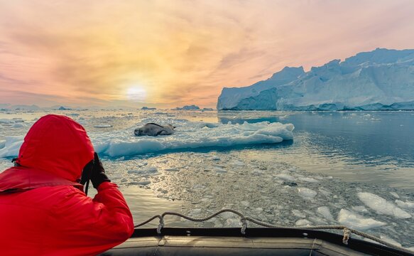 Antarktis Touristen beobachten vom Zodiac aus ganz nah einen Seeleopard (Hydrurga leptonyx) auf einer Eisscholle in der Cierva Cove