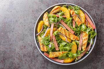 Dietary light salad of grilled chicken, rhubarb, lettuce, onions and oranges close-up on a plate on the table. horizontal top view from above