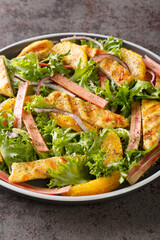 Grilled Chicken salad with rhubarb, oranges, onions and lettuce closeup on the wooden board on the table. Vertical