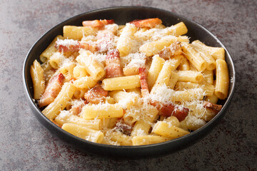 Italian pasta alla gricia in a plate with grated pecorino romano and guanciale closeup on the table. Horizontal