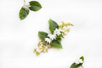 white flowers jasmine local flora of asia arrangement flat lay postcard style on background white 