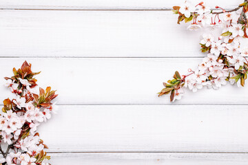 Spring blossom may flowers and April floral nature on wooden background. Branches of blossoming. For easter and spring greeting cards with copy space. Springtime.