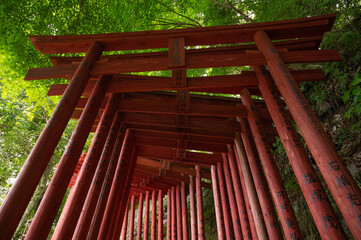 鳥居　Torii gate Yutoku Inari Saga Japan temple