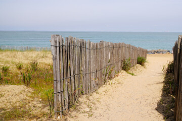 access ocean sandy pathway fence wooden to ocean beach atlantic sea coast at isle oleron island in France