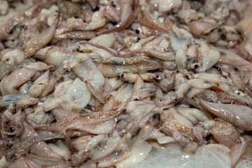 seafood which in the fish market stacked on top of each other on light ice