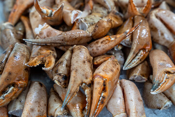 crab claws and other parts of the fish market stacked on top of each other on light ice