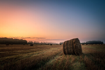 Hay rolls on meadow against sunrise background.