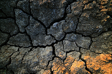 drought in the field agriculture problem heat cracked earth