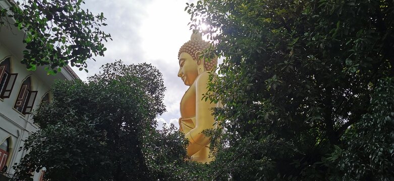 statue 1443