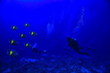 Fototapeta na wymiar divers underwater at depth in the blue sea background