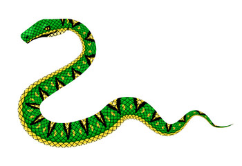 viper snake green reptile serpent